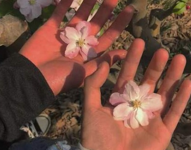 情侣说说短句暖心窝 有你陪伴真好